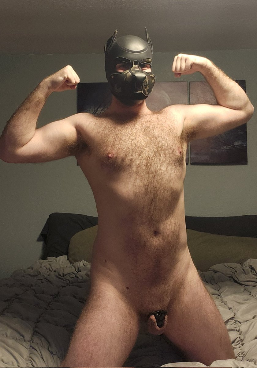 Pupkryptowi tweet media