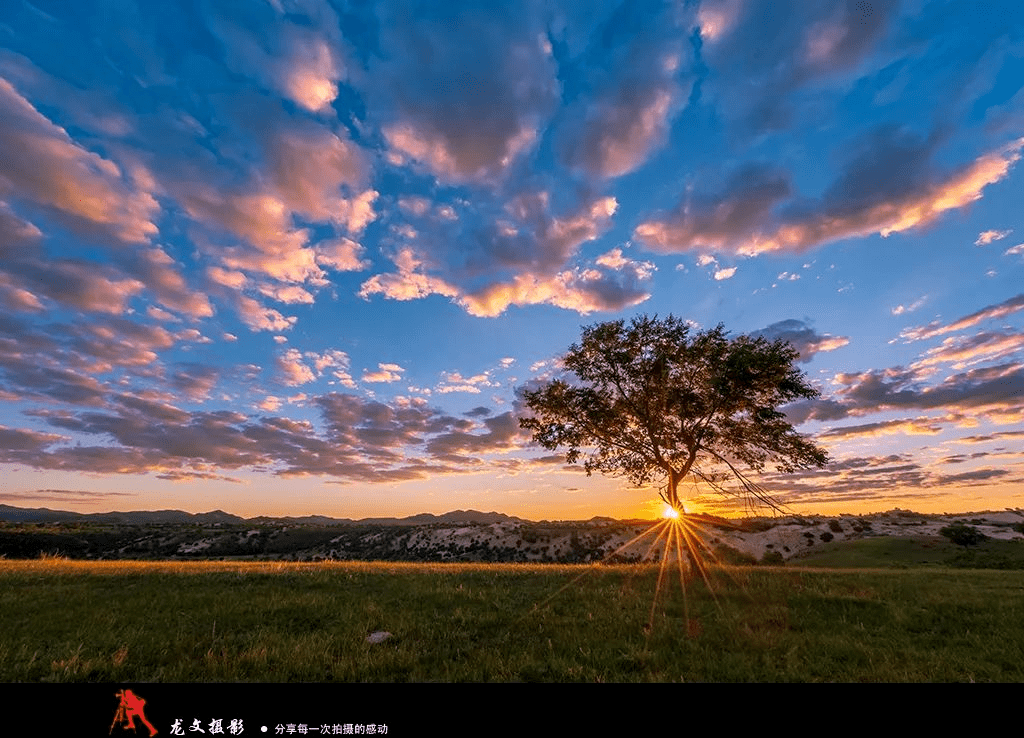 Corinne Wright tweet media