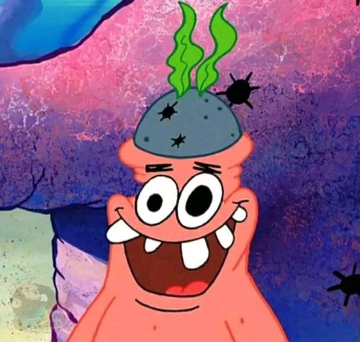 chiya🐈 tweet media