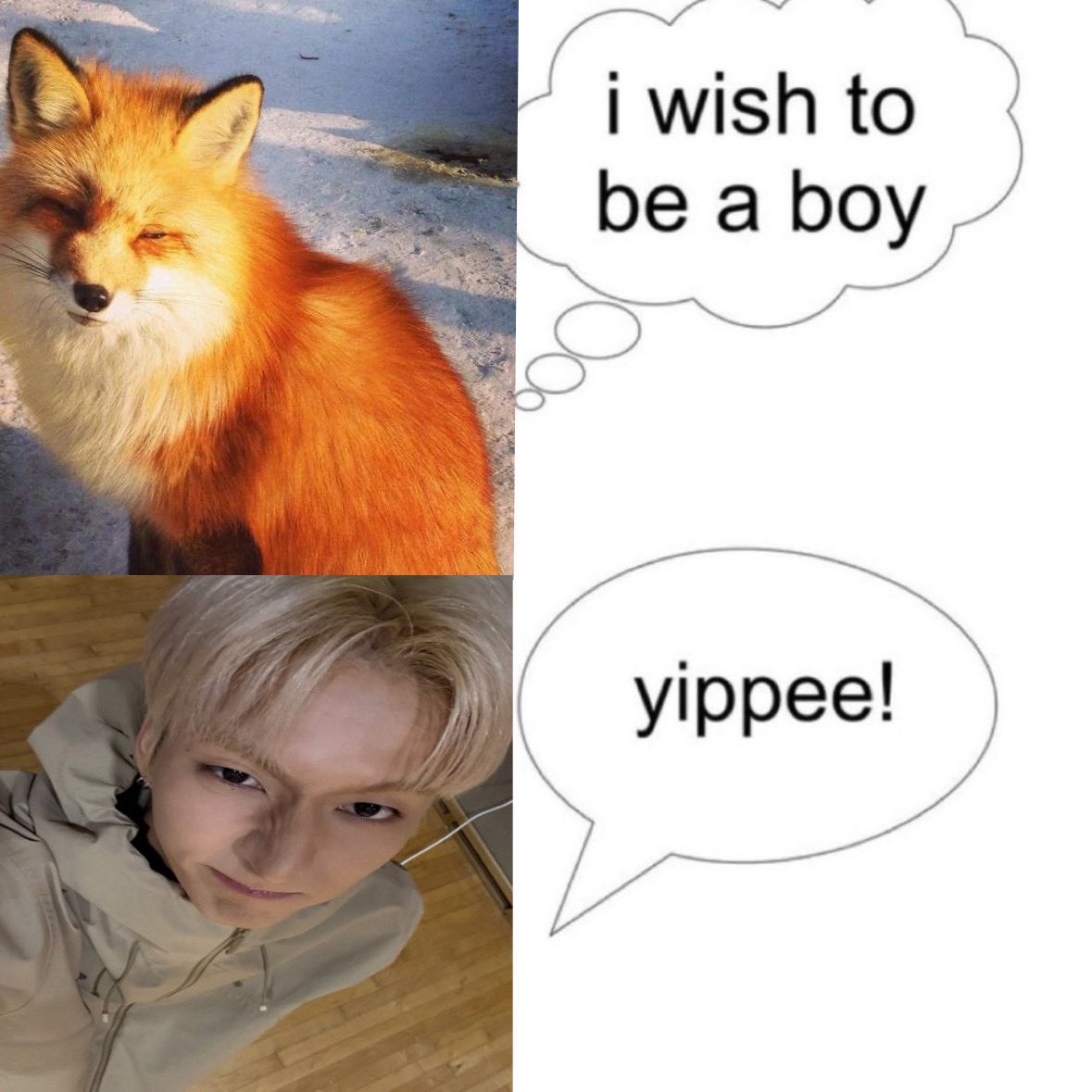 ͏͏͏͏ֺ tweet media