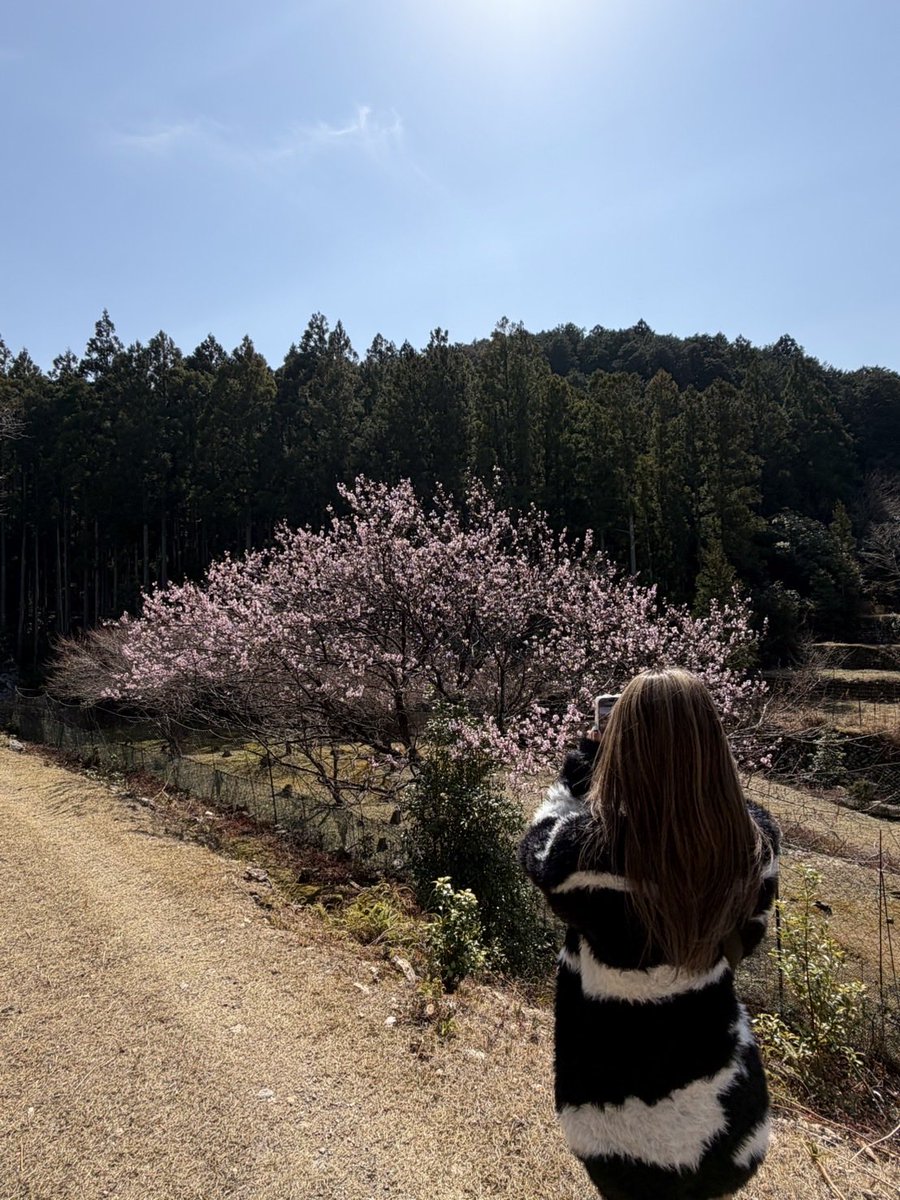 putiputiReality's tweet photo. 久しぶりに戻ってきたー！
リアリティは完全に辞めてしまったけど
ぷちぷちは元気です https://t.co/X0eaTaiDt7
