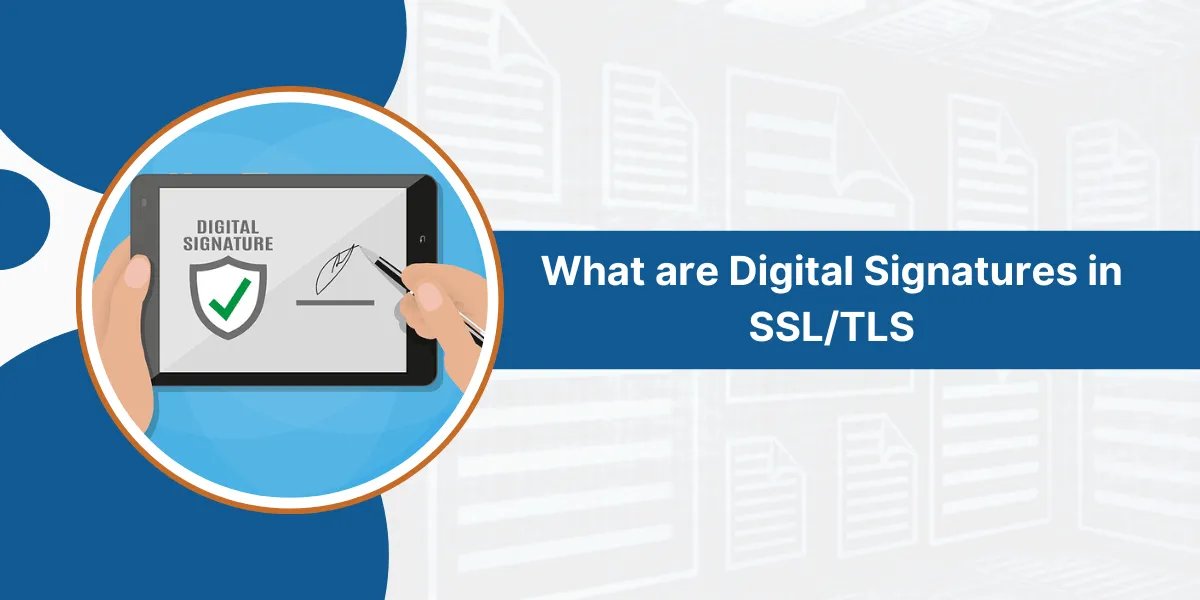 WeSSLInsights's tweet image. 😫 Struggling with What Are Digital Signatures in SSL/TLS? 

This guide covers everything step by step.

sslinsights.com/what-are-digit…

#DigitalSignatures #SSLTLS #SSL #SSLInsights #CyberSecurity