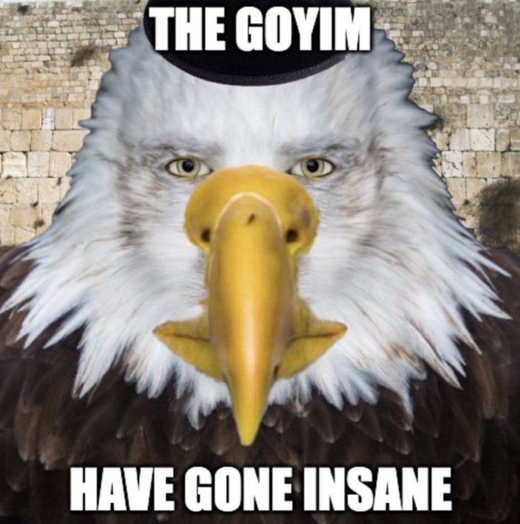 Expulsion Enthusiast tweet media