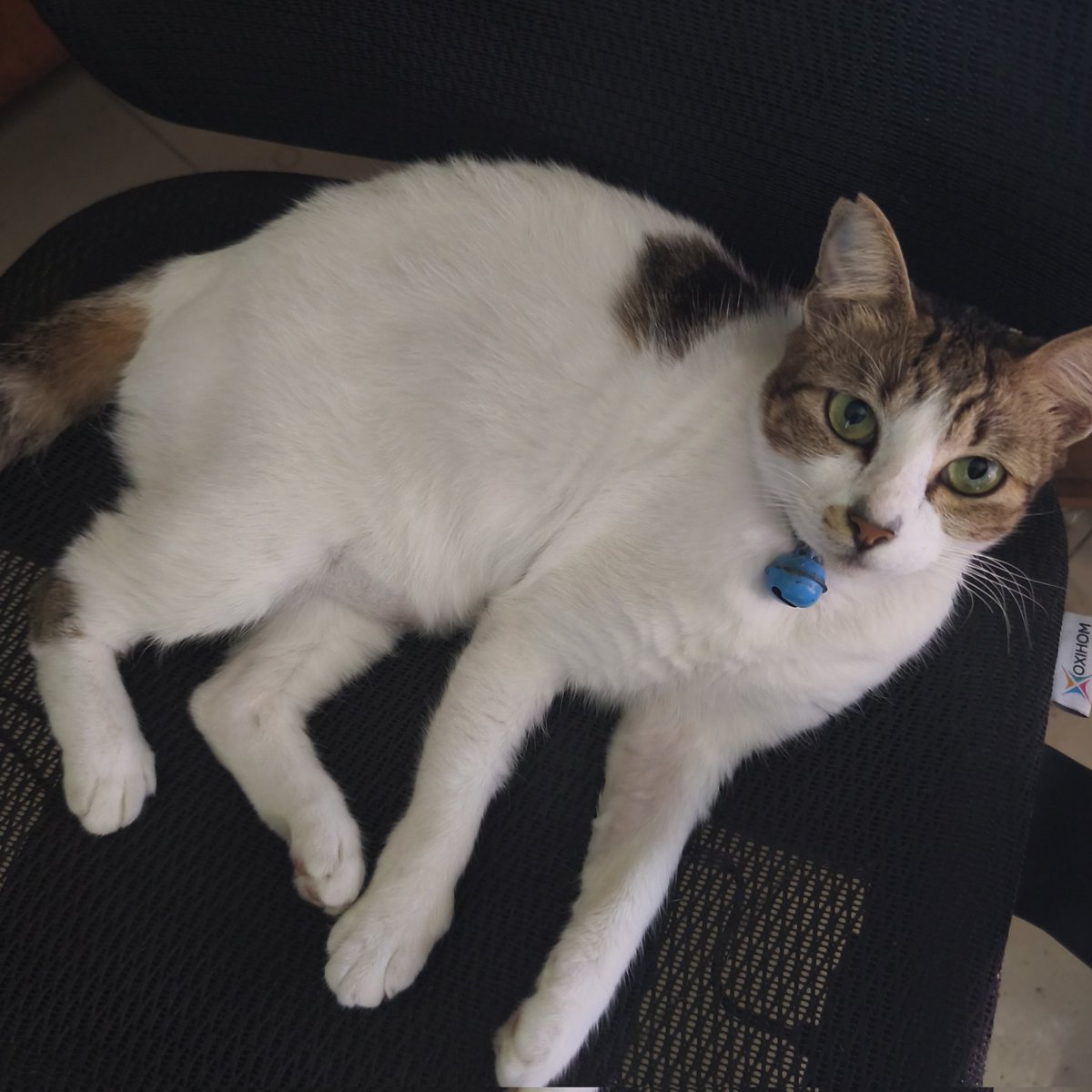 rasha •⩊• tweet media