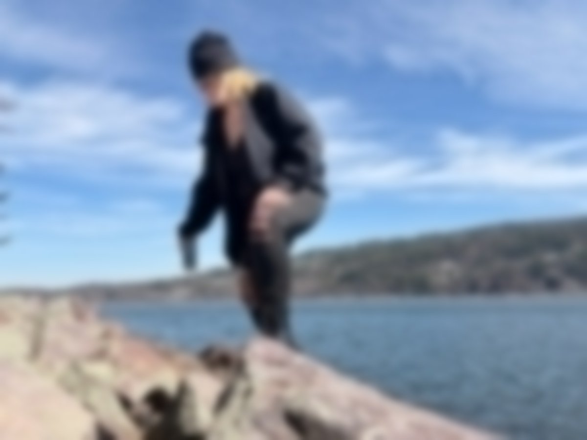 Harlee Ann tweet media