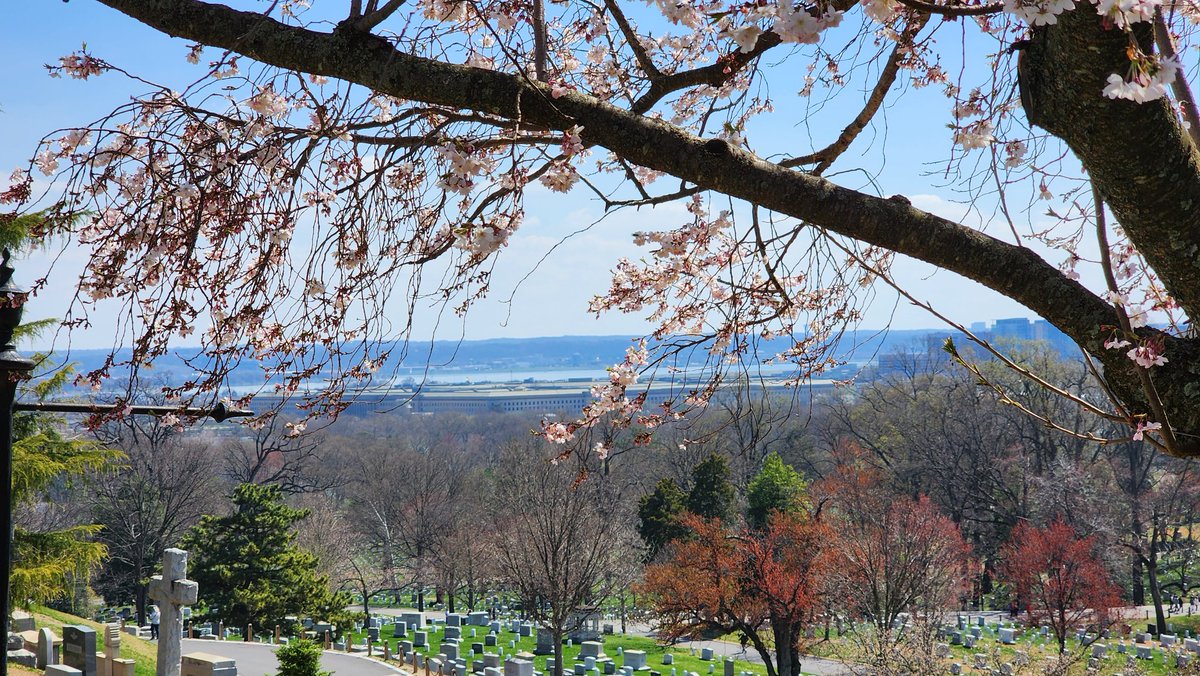 Rexercraft🇺🇸🦁🇮🇷 tweet media