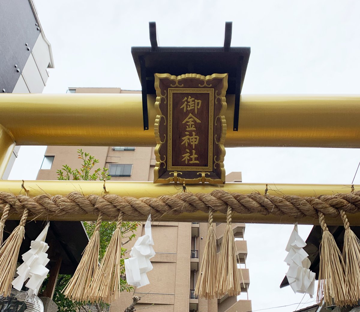 てん（弁財天）｜願いを引き寄せる白蛇占い師 tweet media