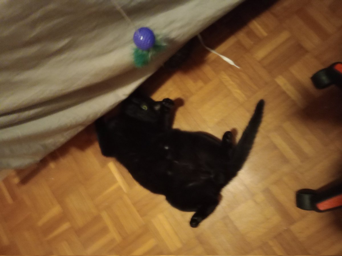 Alien Cosmo tweet media