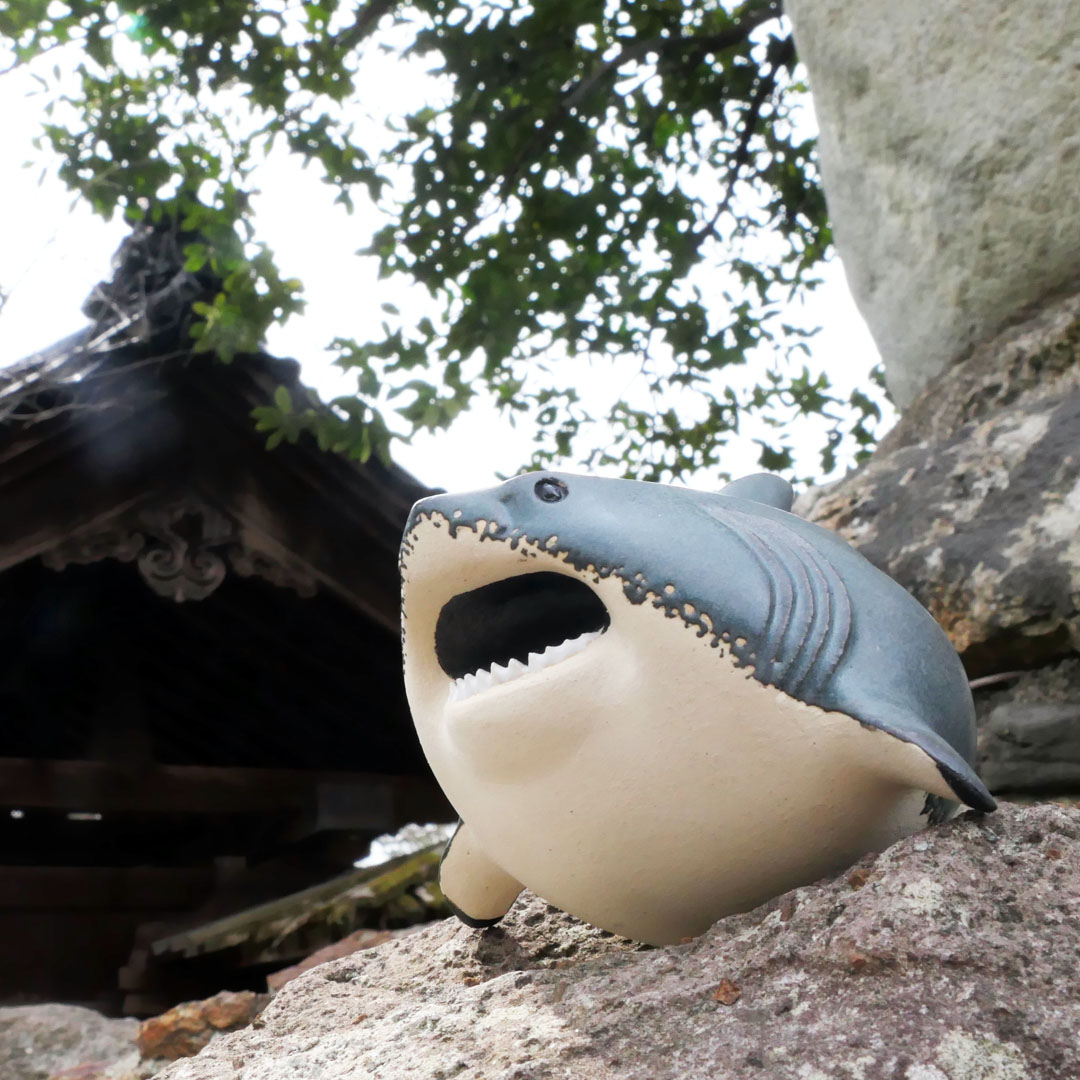 ceramimic2021's tweet image. ホホジロザメ置物
#ホホジロザメ #サメ #shark