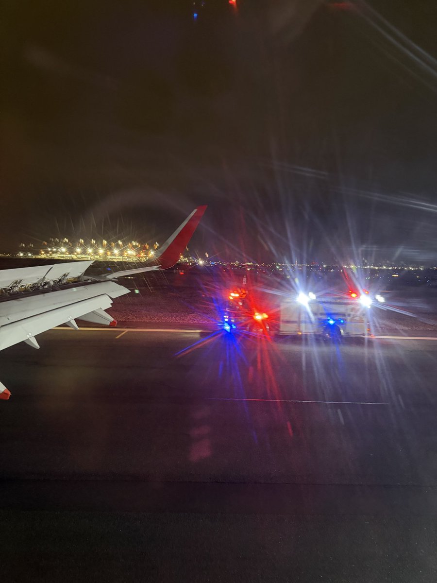 ✈ Stephen tweet media