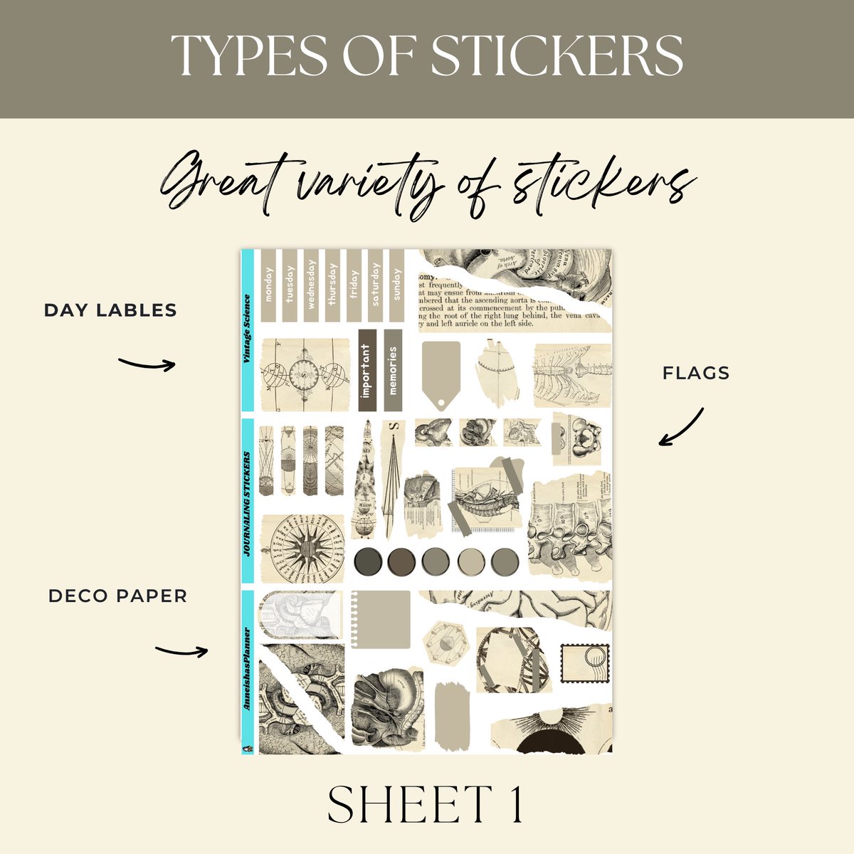 AnneishasPlanner tweet media
