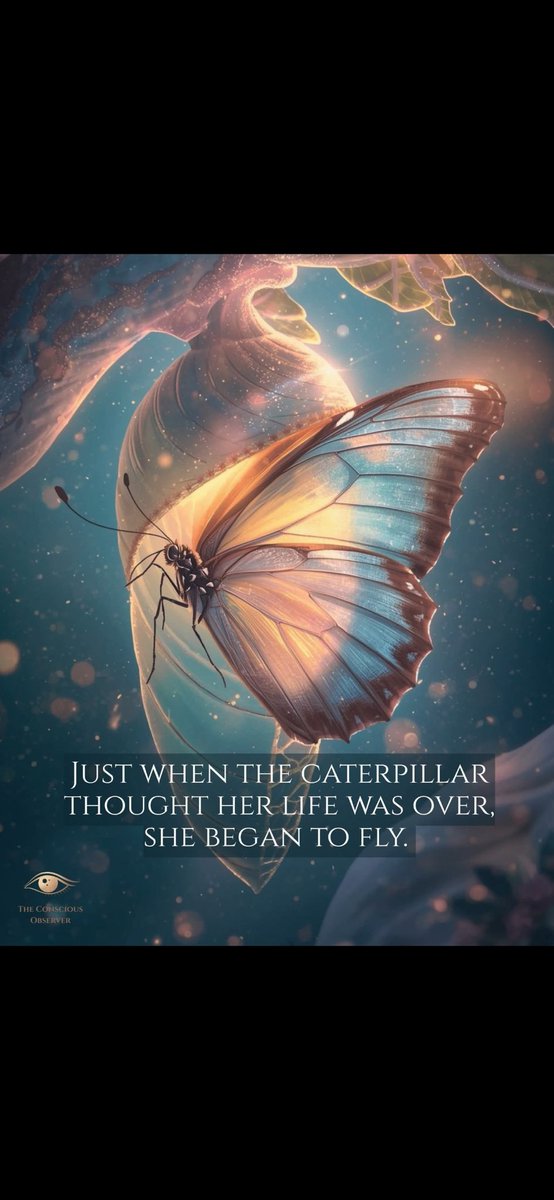 Daz all things spiritual Jackson tweet media