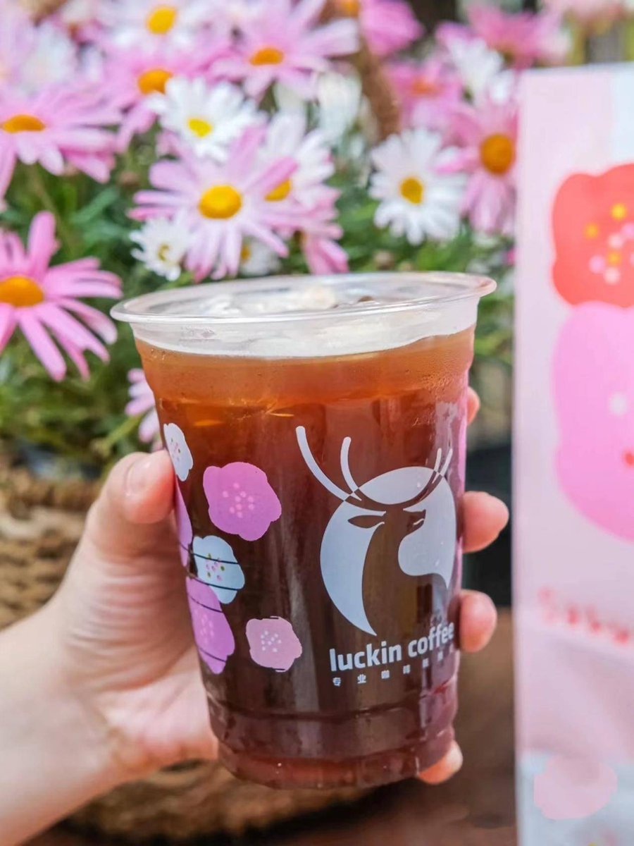 SAMIR ELEGEMY tweet media