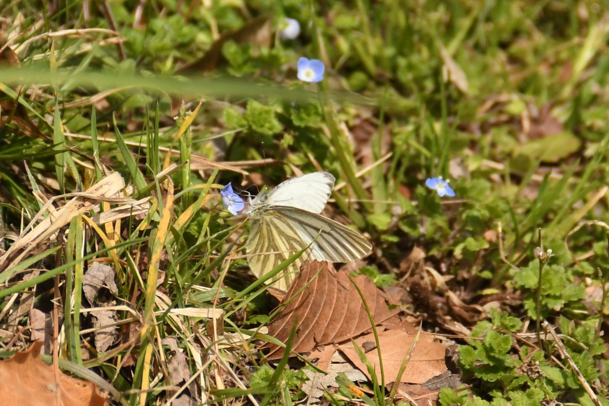神奈川県立秦野ビジターセンター tweet media