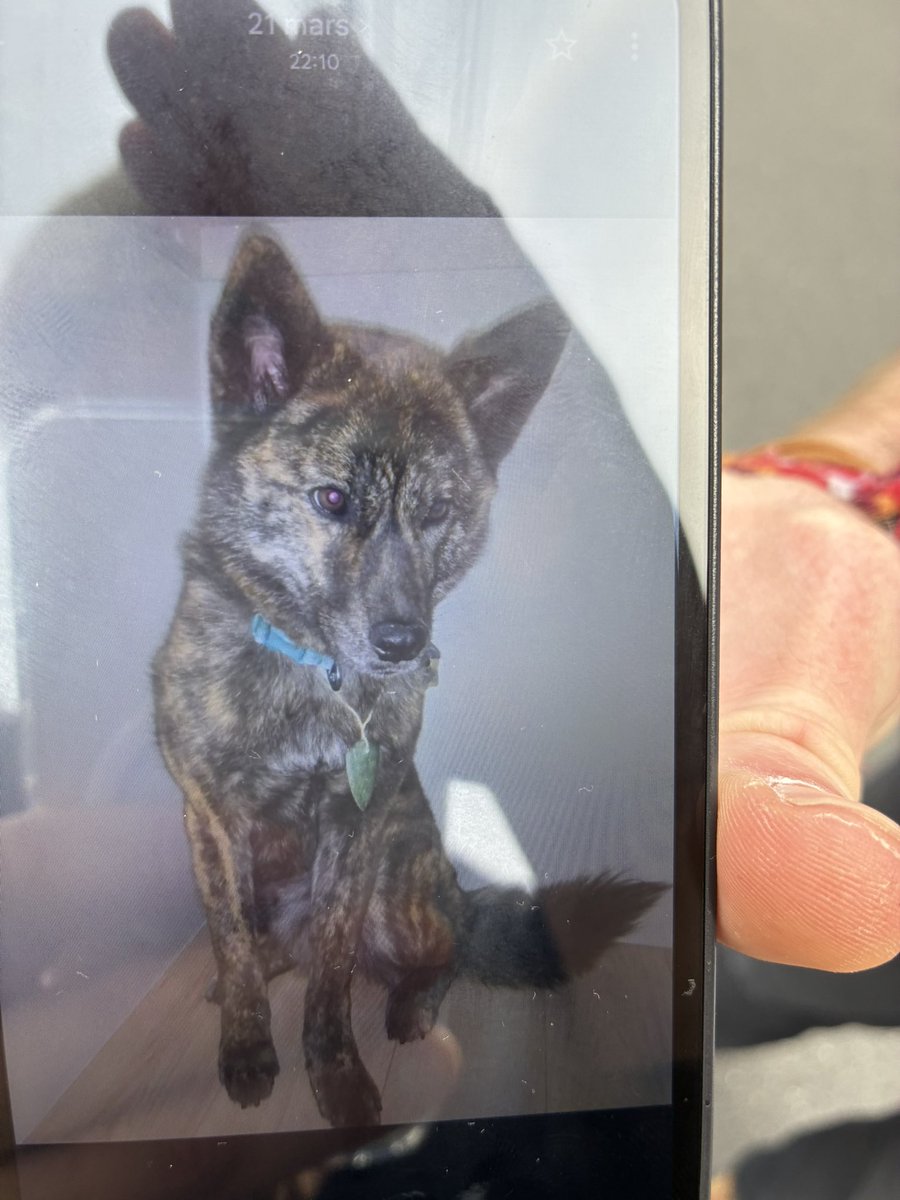 岸本修平 tweet media