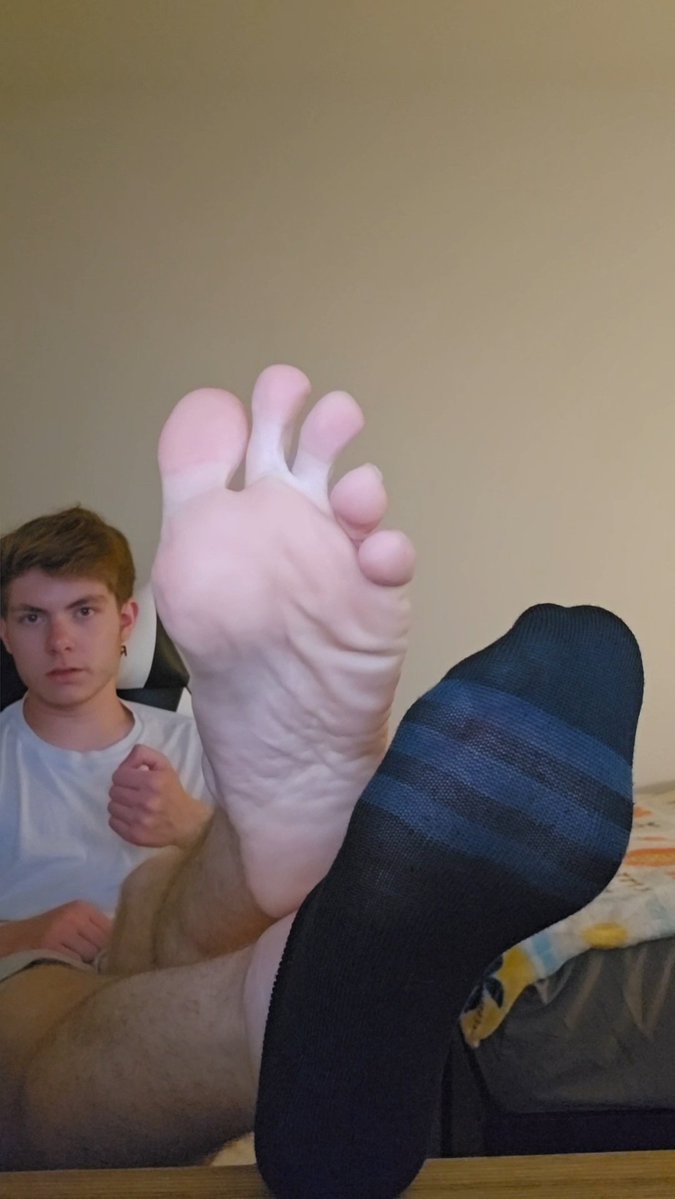 Matteo Paws tweet media