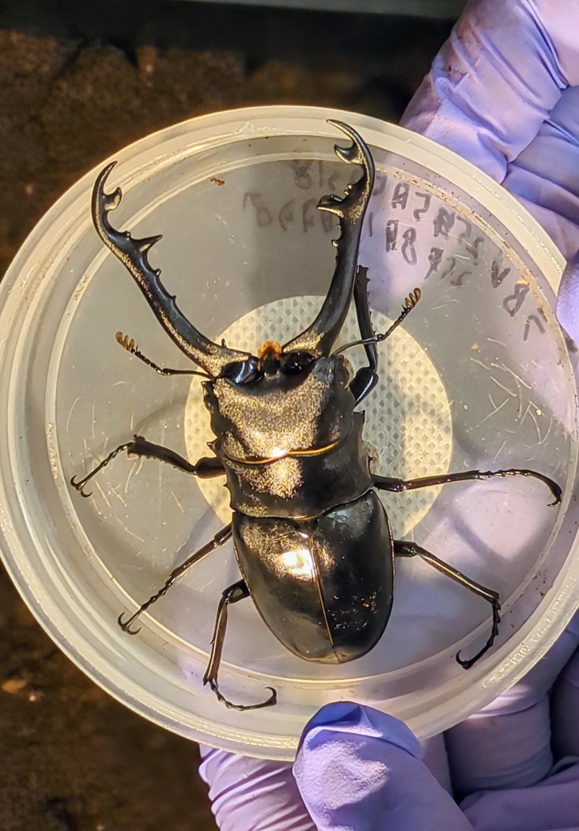 涼猫@釣りよかファン tweet media