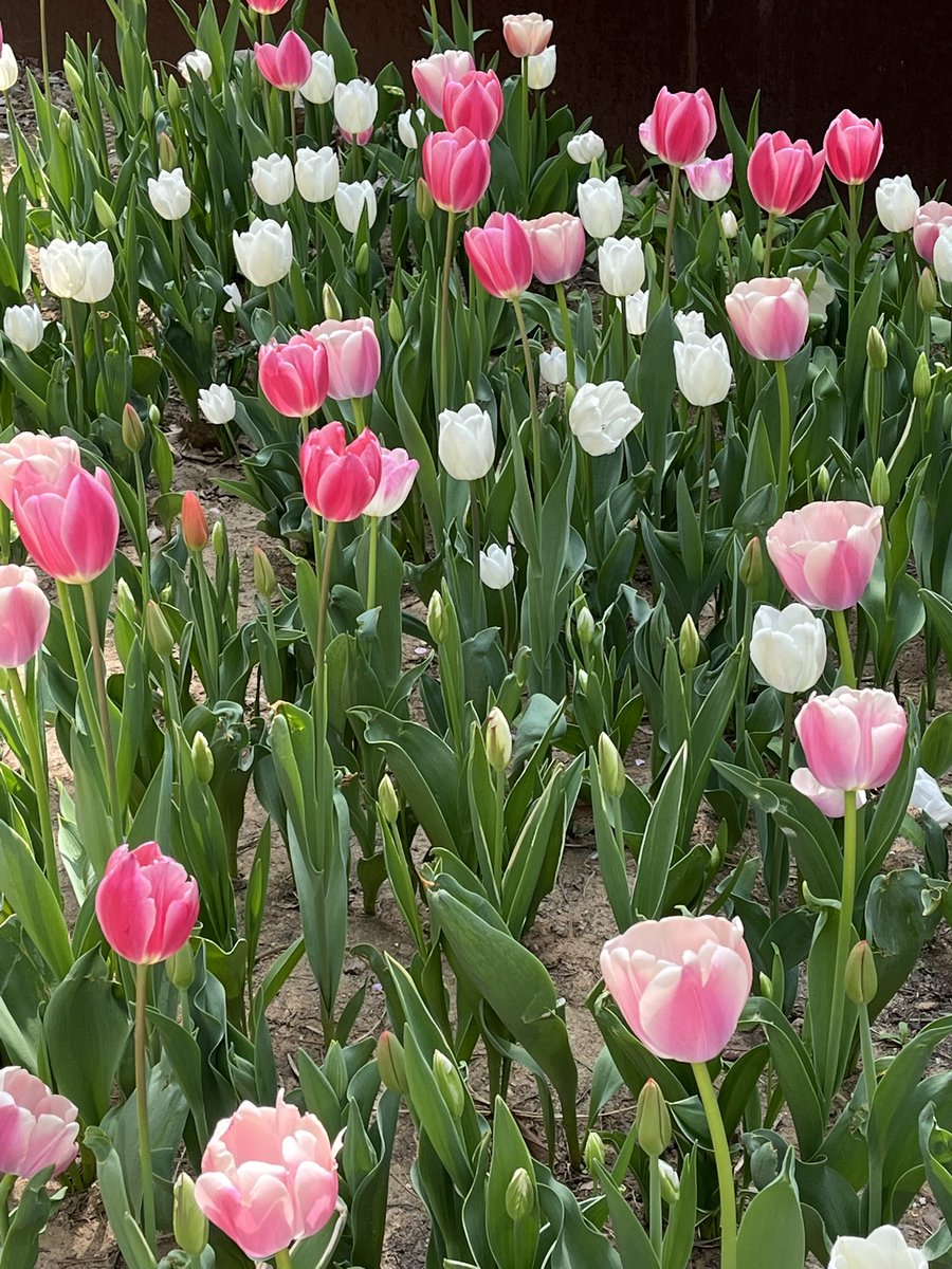 낡고지친사람 tweet media