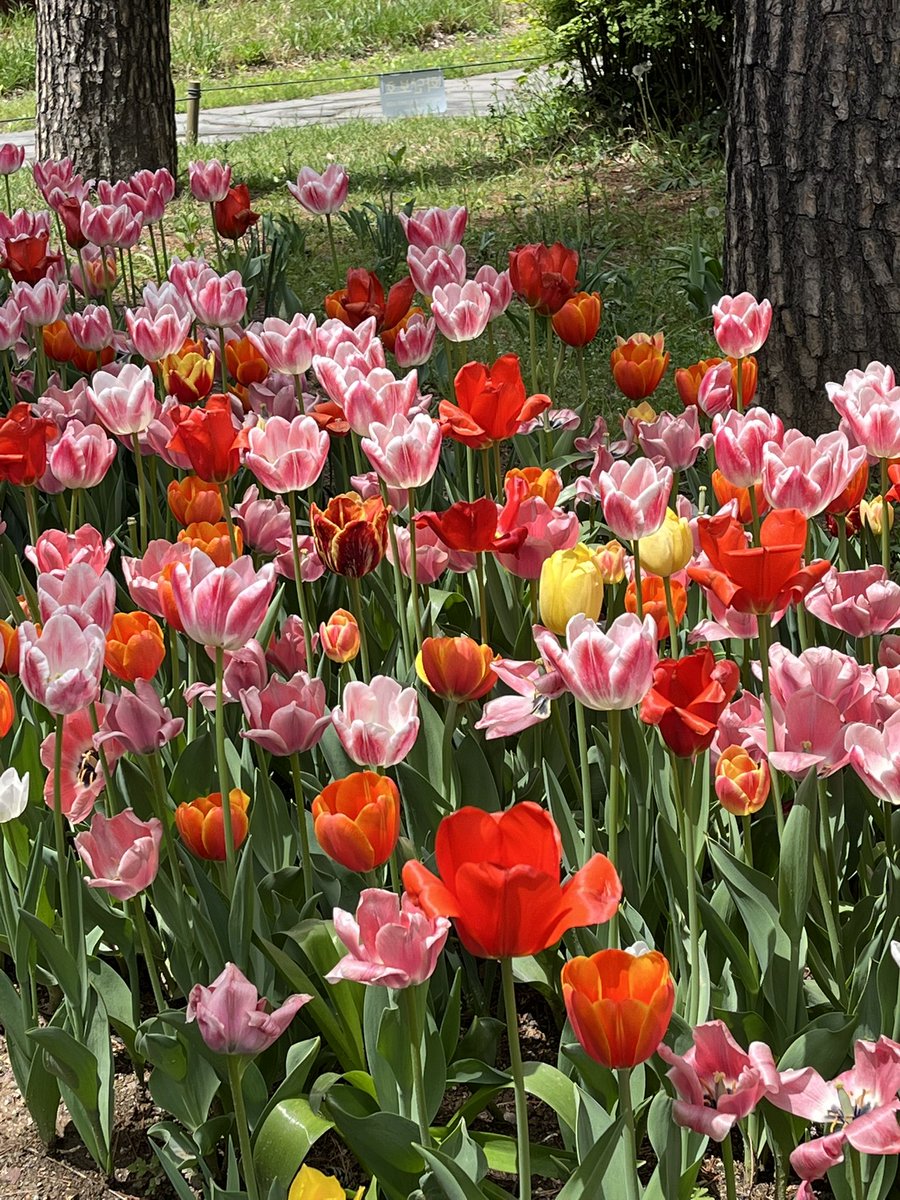 낡고지친사람 tweet media