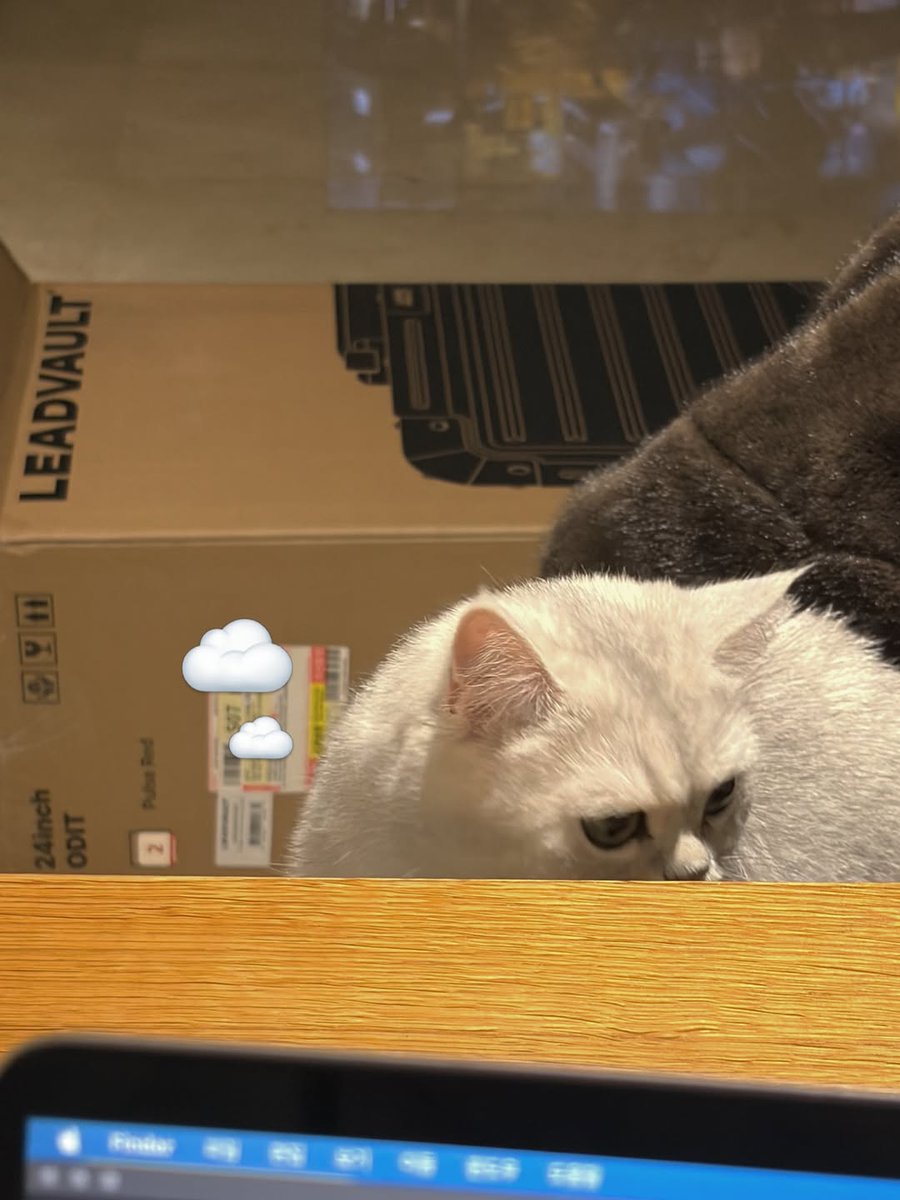 Heize News 💔🦠헤이즈 뉴스 tweet media