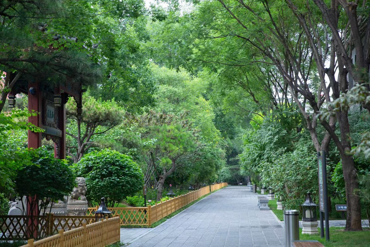 Johnathon rodriguez tweet media