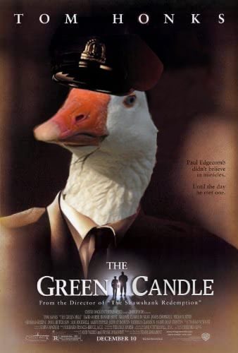 Positivity Link Marine | Convert feeToken to link tweet media