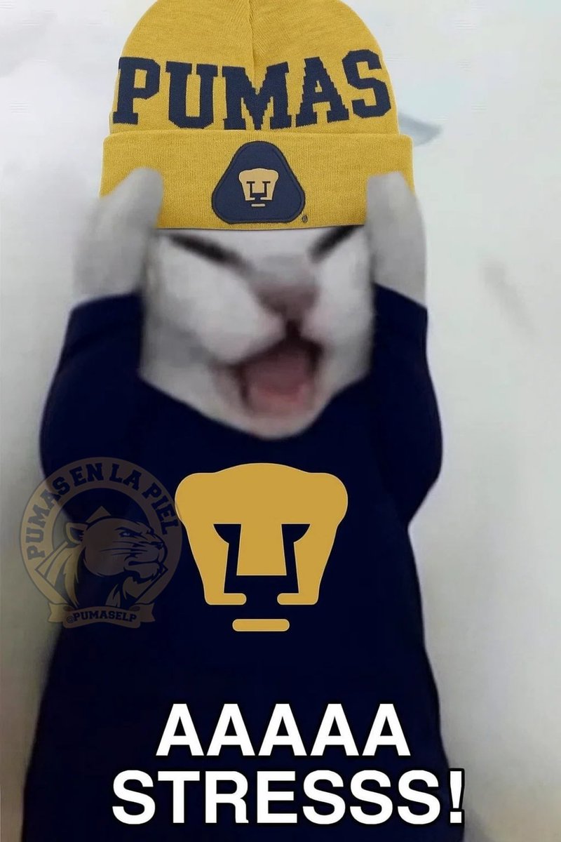 Pumas En La Piel tweet media