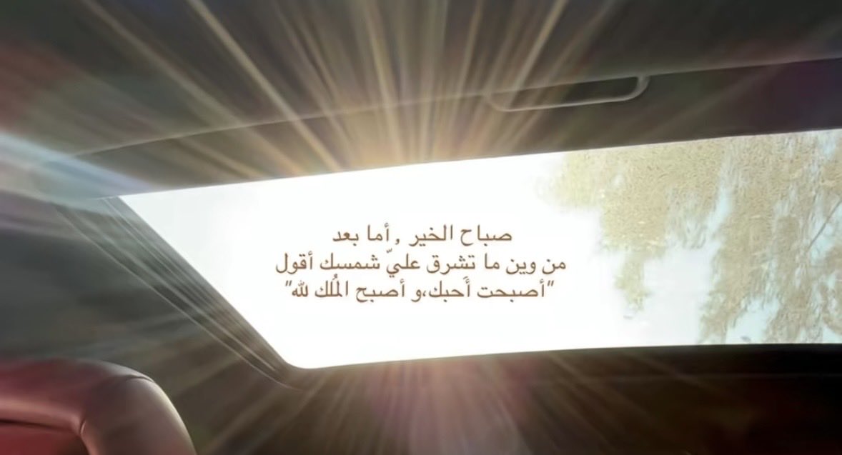 ☼ tweet media