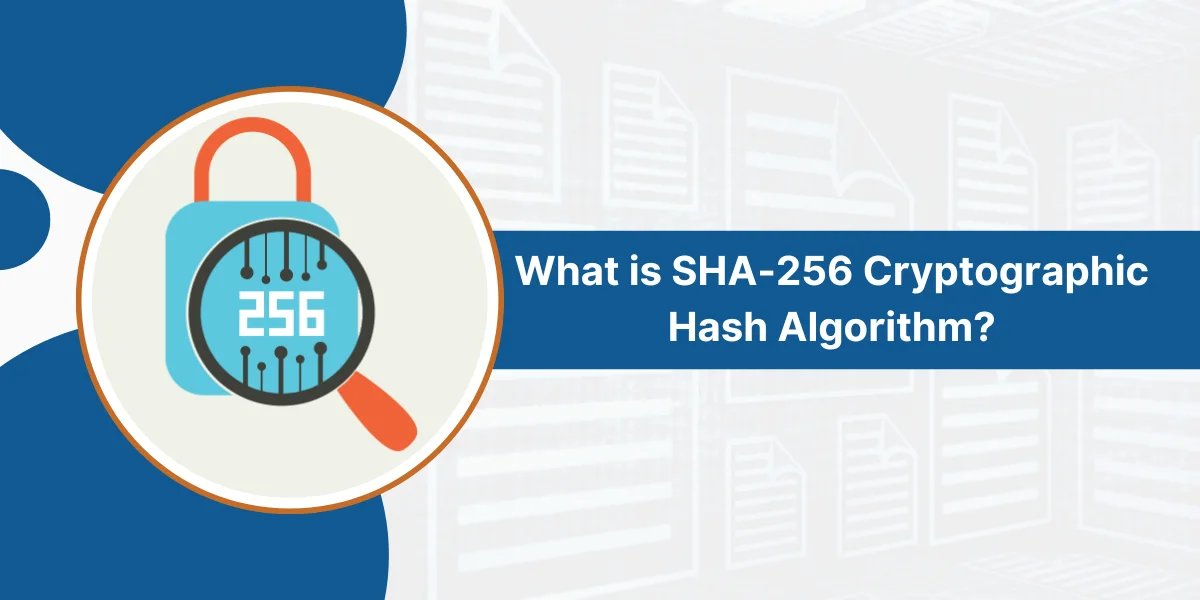 WeSSLInsights's tweet image. ✅ Understand exactly how SHA-256 produces a fixed 256-bit hash. 

Complete guide here 👇
sslinsights.com/sha-256-crypto…

#SHA256 #Cryptography #InfoSec #SSLInsights #DataIntegrity