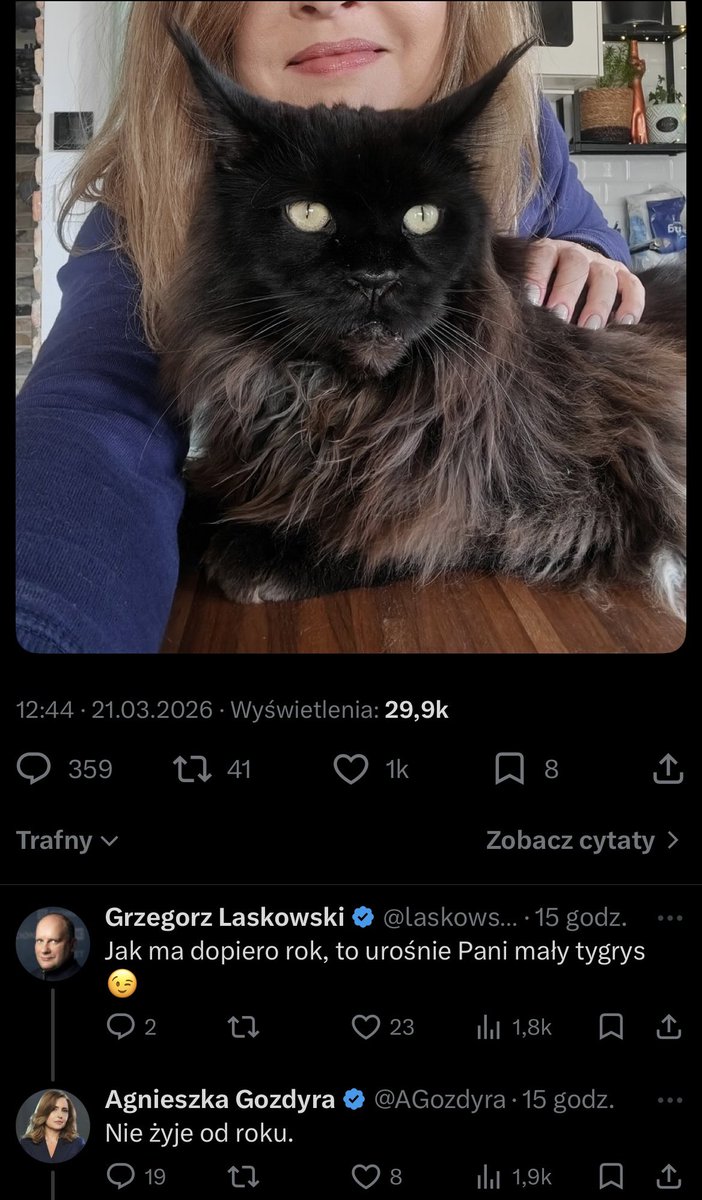 AdamKNW 🇵🇱 tweet media