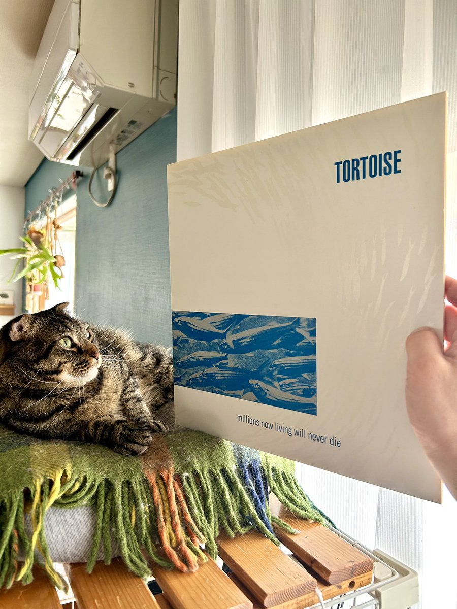 2児の父インドア派 tweet media