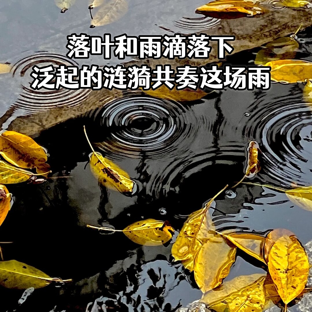 cem arikoler tweet media