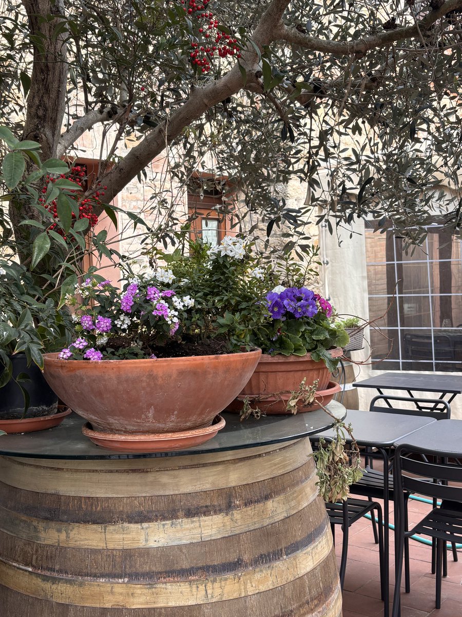 🇮🇹フィレンツェ発現地ツアーeasyfirenze tweet media