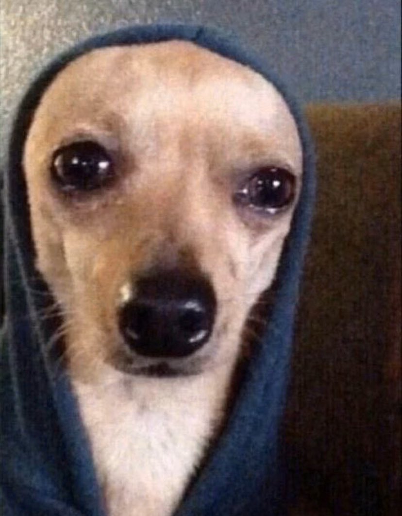 능글 파인애플 tweet media