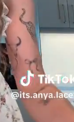 Kaltakkyran tweet media