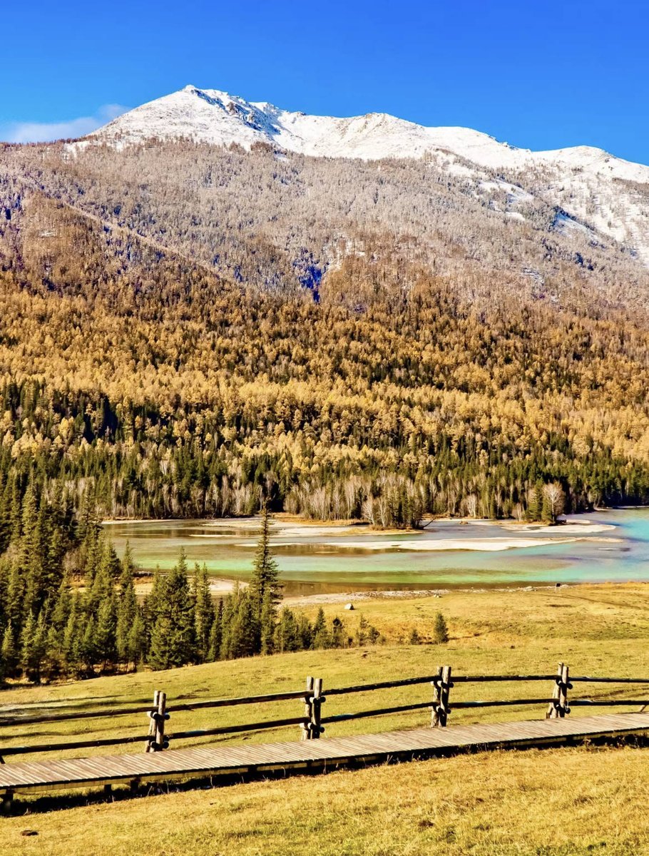 TraeMindz tweet media