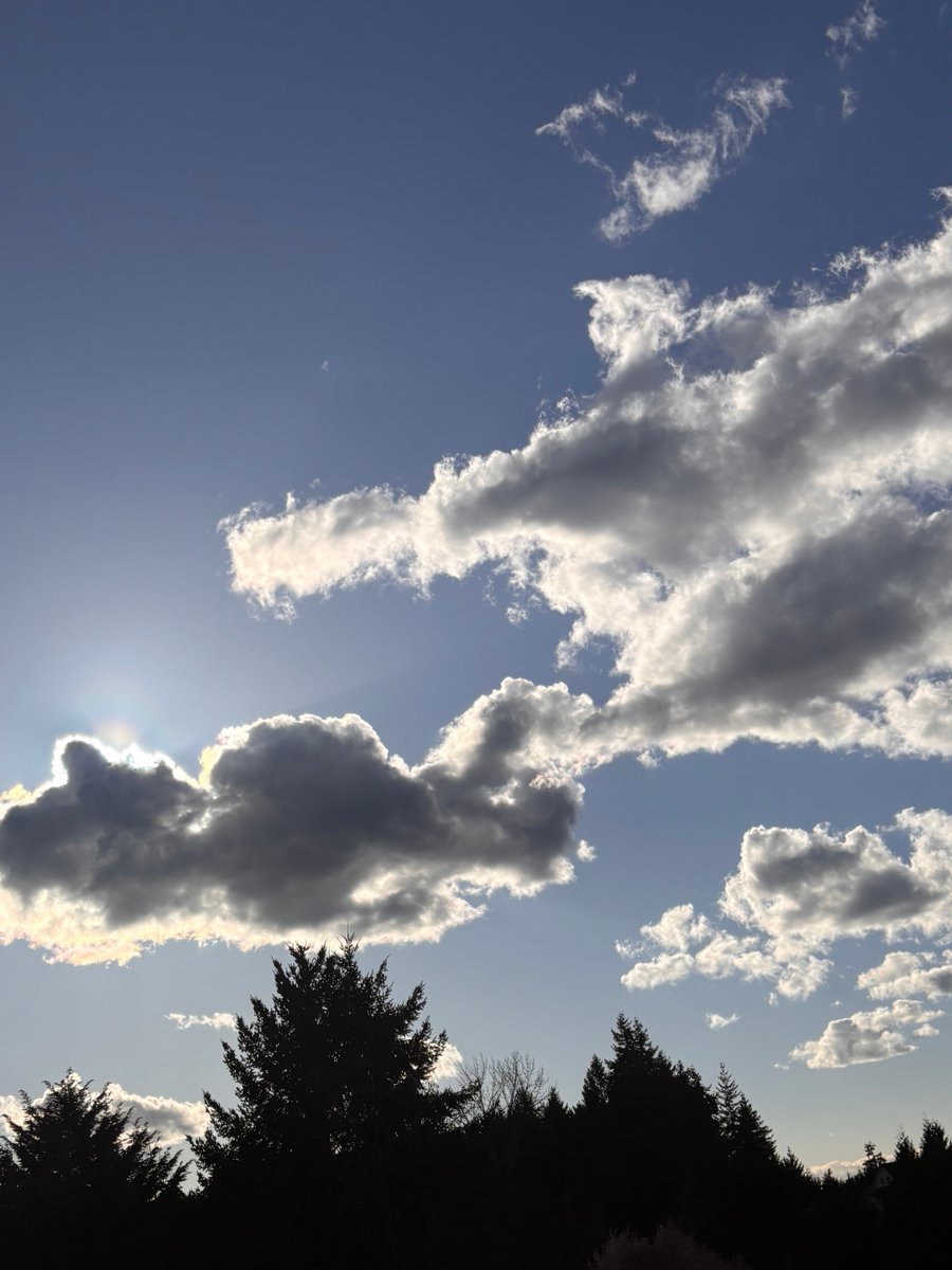 Redlovesbubbles tweet media