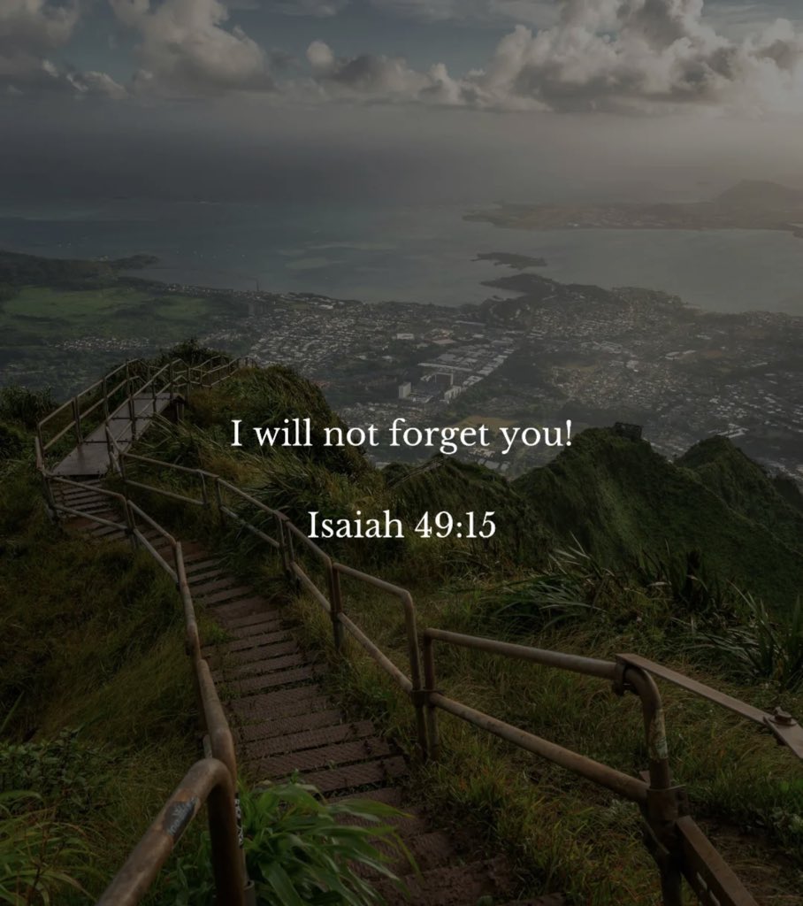 Holy Bible tweet media