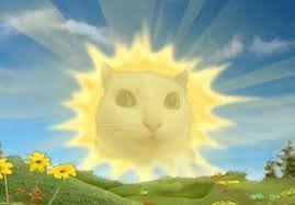 ImNotLenarVT tweet media