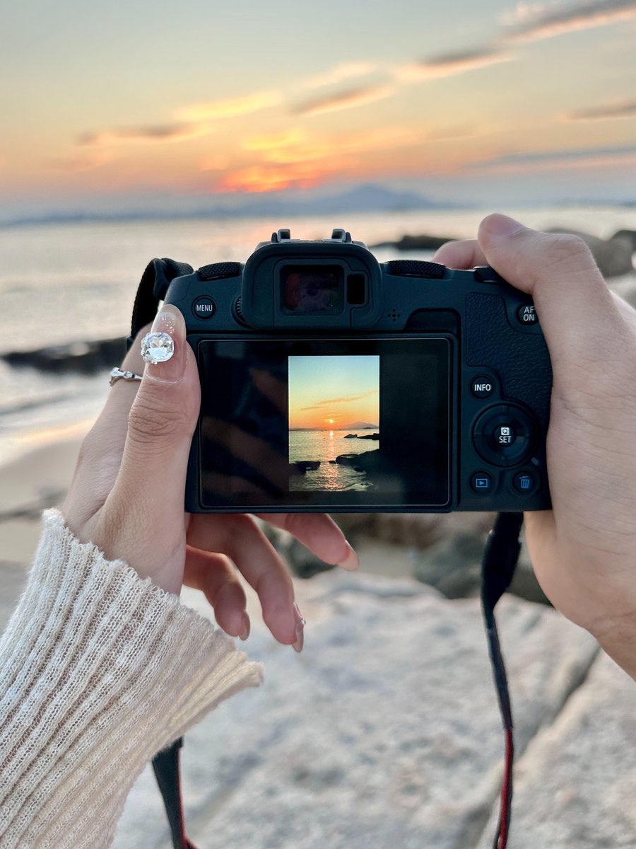 MAMMOTHLYRICS tweet media