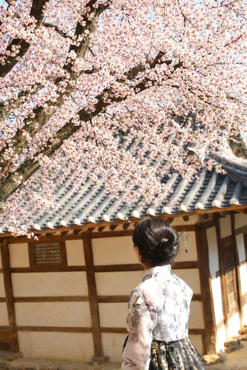 멍아지 tweet media