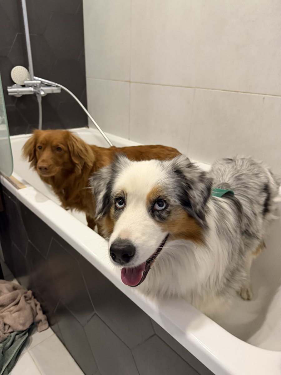 Христина Жук tweet media