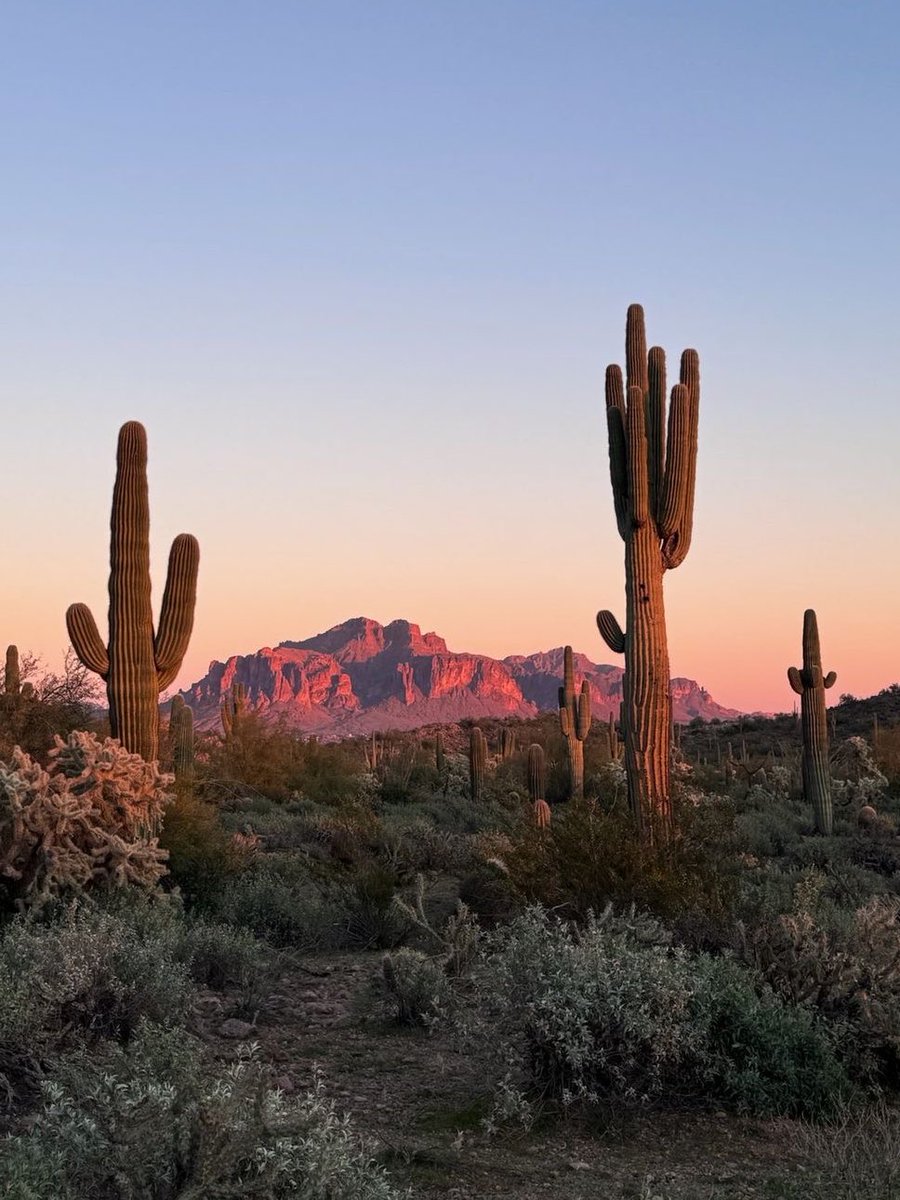 pluto ⊹ ࣪ ˖ tweet media