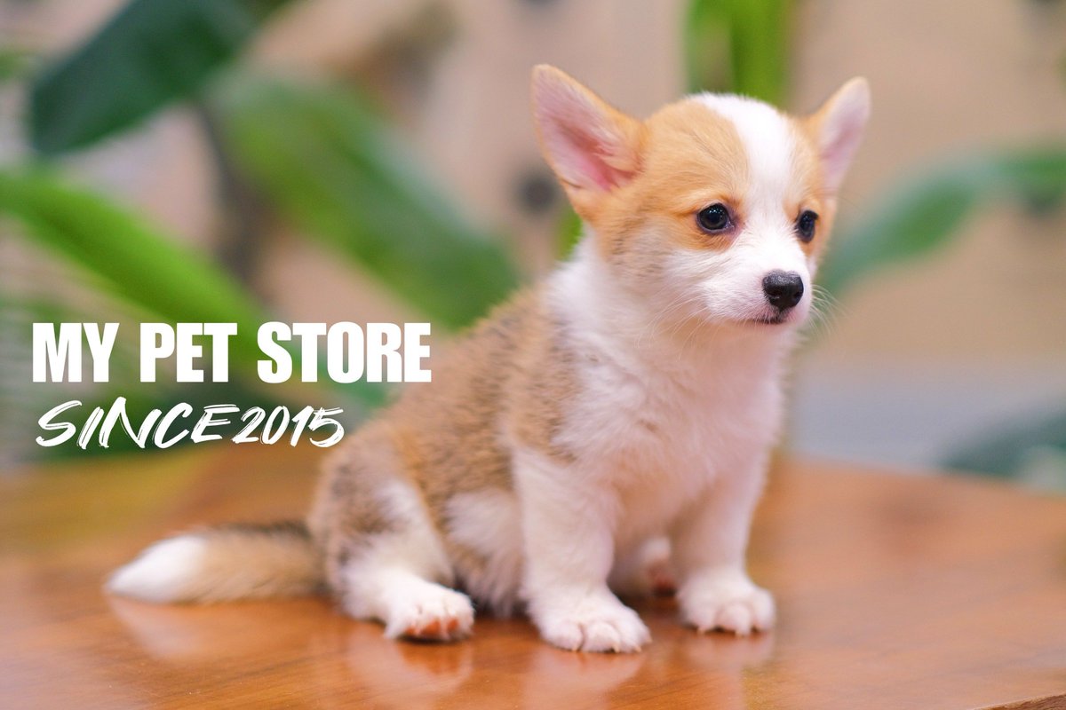 HAILE TEKLE tweet media