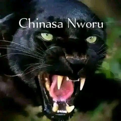 IPOB has moved beyond fundraising. A new chapter was started years ago.

The Biafra struggle has advanced beyond public fundraising and donations.

Mazi Chinasa Nworu 22/3/2026