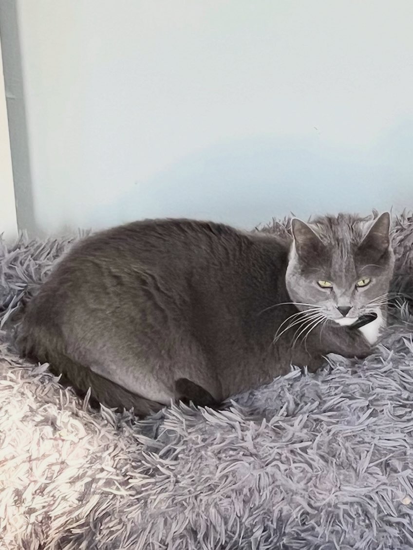 NobodyListensPaulaPoundstone tweet media