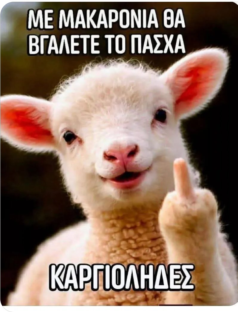 Lady Politician tweet media