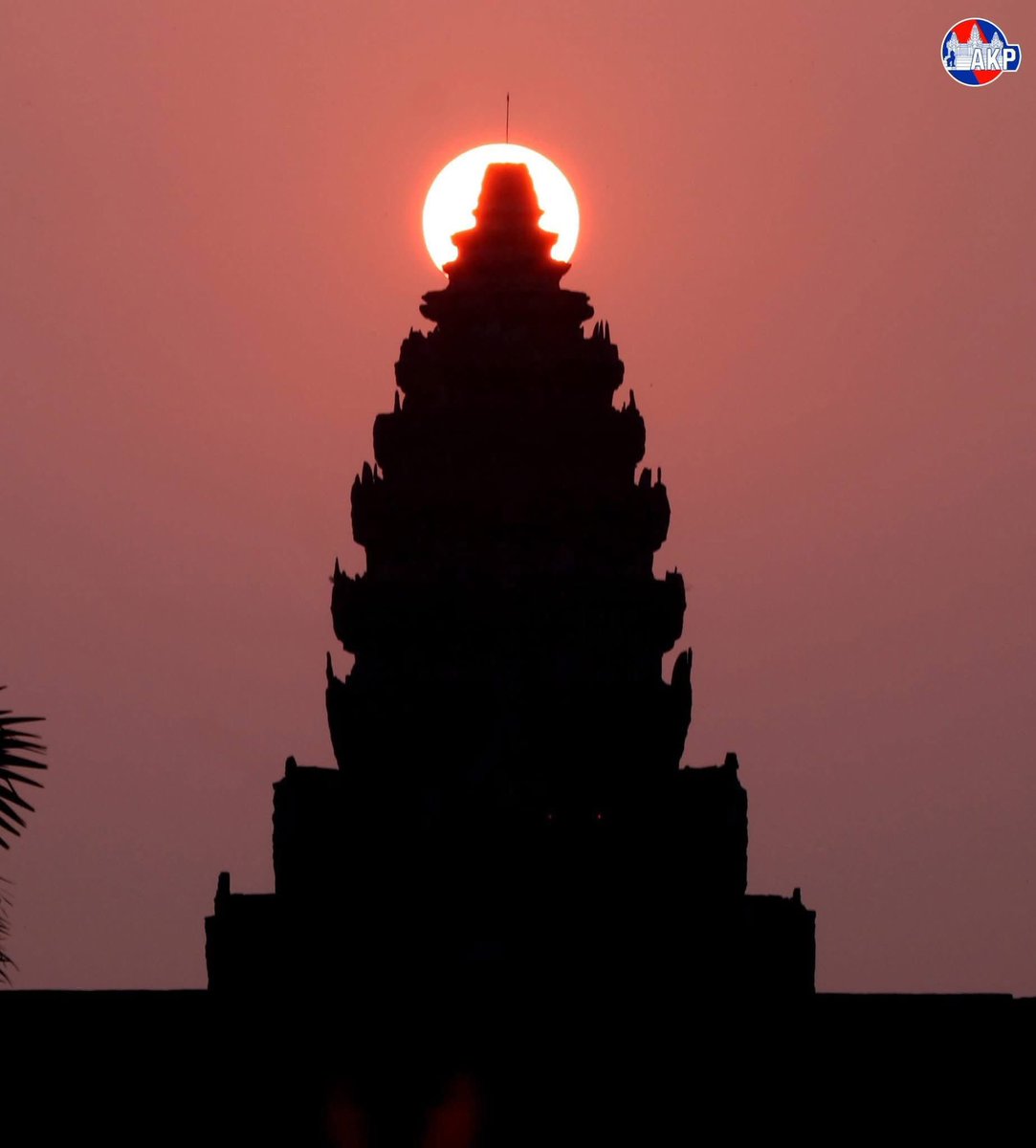 OB Vlogs tweet media