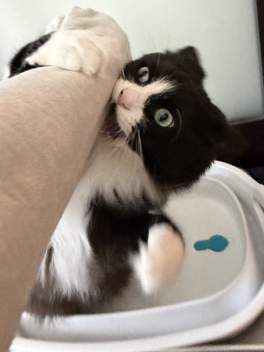 松永 健也 tweet media