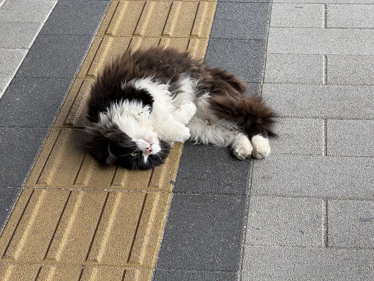 ใ๏ผ๐๐๏ธ๐ฎ tweet media